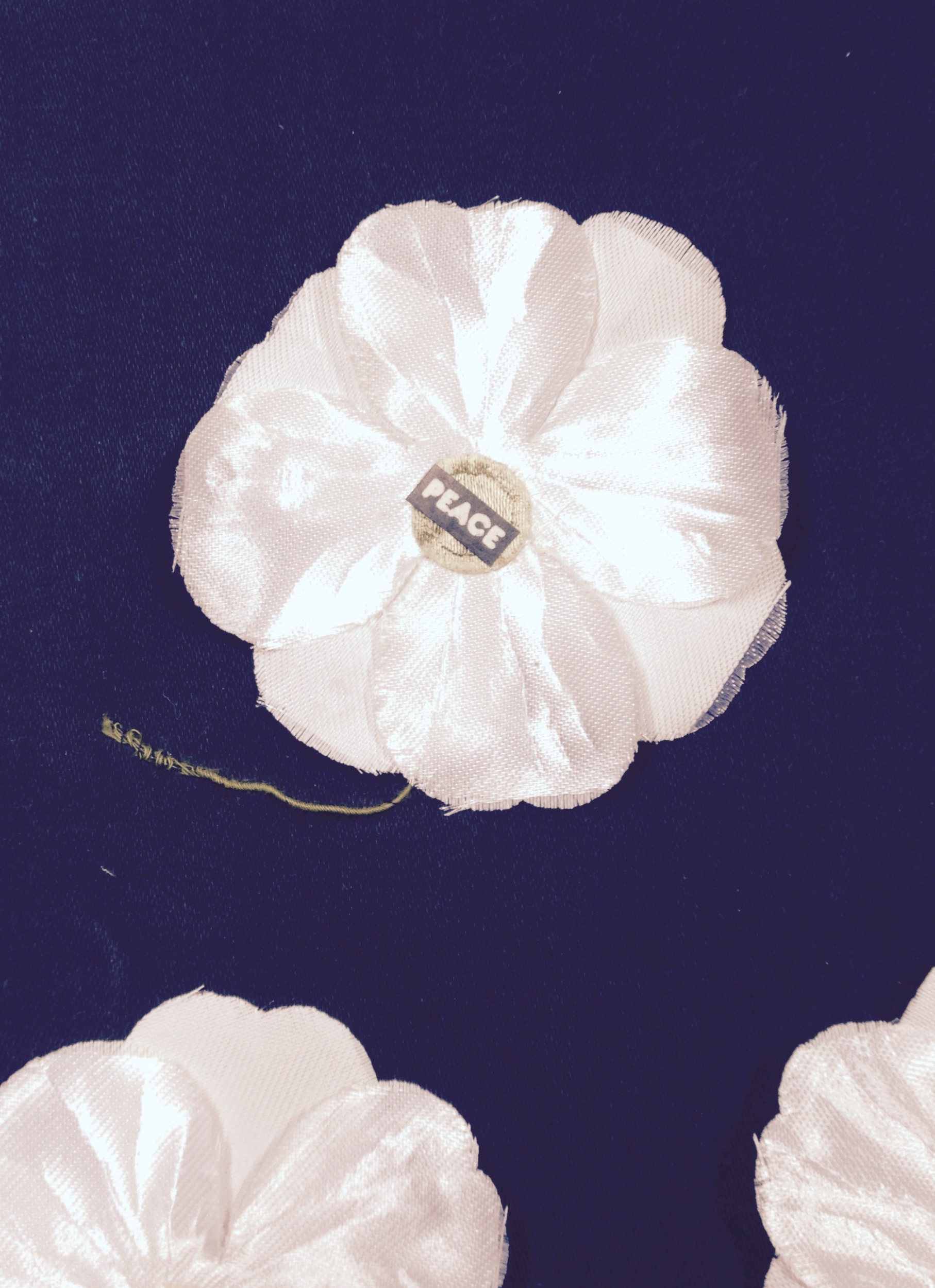 Image 1988.322 DUP118.jpg